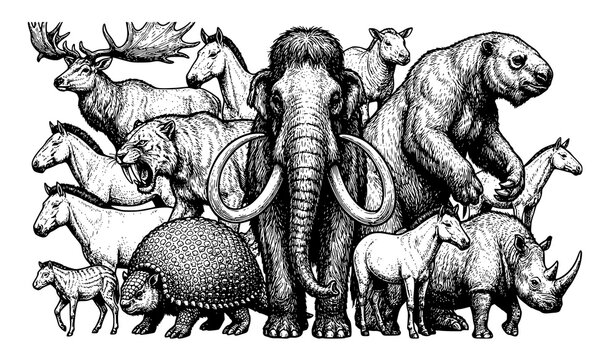 Prehistoric ice age mammals collection with woolly mammoth line art vector illustration