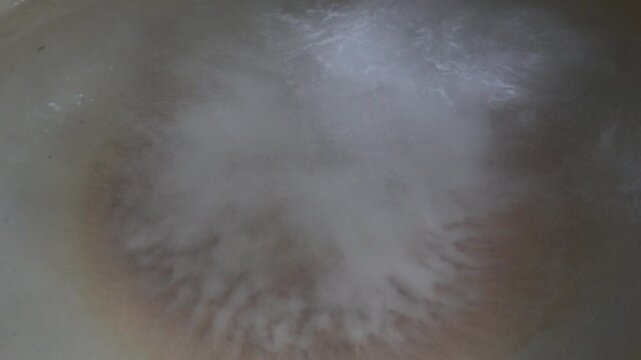 Abstract Foggy Texture with Light and Dark Clouds