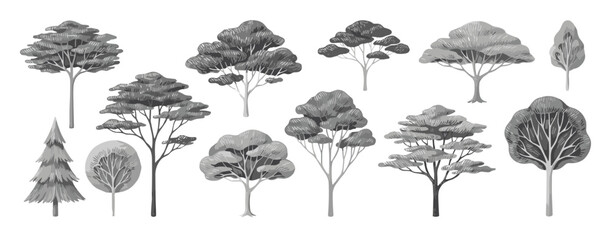 Various trees in different shapes and sizes on white background  trees with different foliage and trunks © Siddhartha