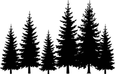 Silhouette of a diverse group of evergreen pine trees a white background, forest © Vector_Mint