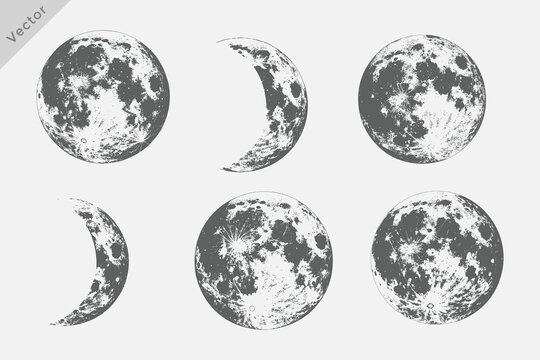 full moon on vintage engraving style illustration. Hand-drawn sketch moon vector