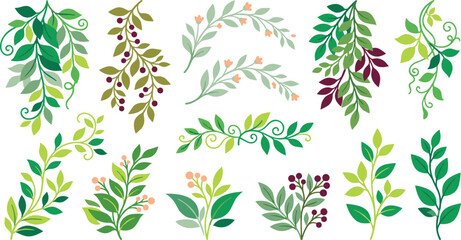 Hand drawn colorful botanical elements leafy branches floral sprigs and berry ornaments for wedding invitations and decorative design © MstShapla