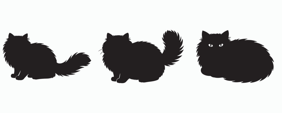 Collection of long-haired cat silhouettes isolated on gray background. Black vector illustrations of fluffy domestic cats in sitting and resting poses, ideal for pet care, veterinary, animal