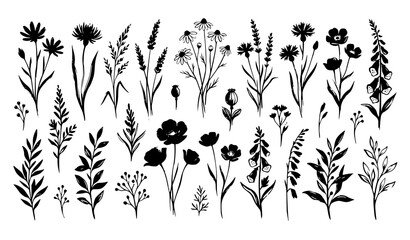 Minimal Wild Flower Botanical Silhouette Vector Collection with Black Brush Floral Nature Illustrations © MdShojib