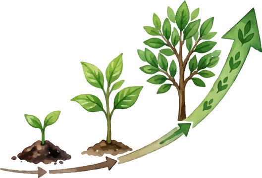 Green plant life cycle diagram with seedling sprout, small tree growth, and upward arrow explained visually. Ideal for educational materials.