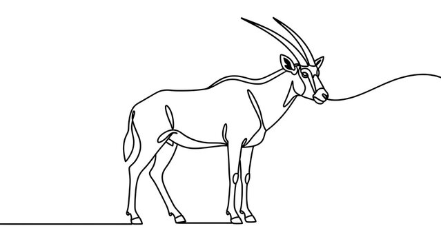 Minimalist oryx line art drawing white background.