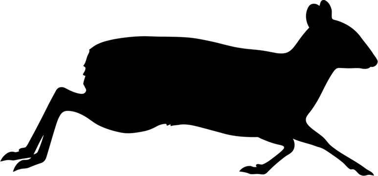 Mouse Deer Silhouette Vector Illustration , Animal Silhouette Vector , Transparent Background
