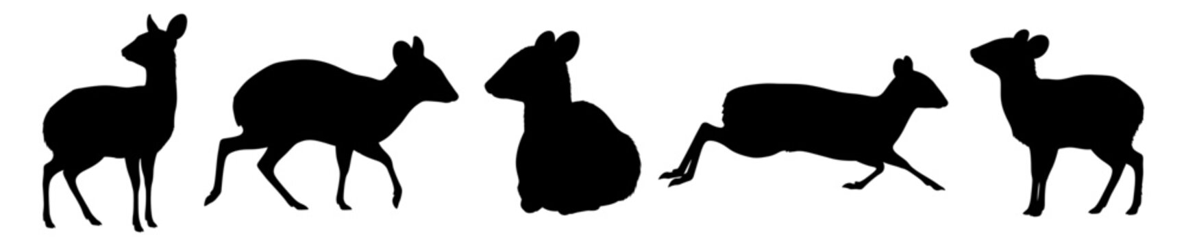 Mouse Deer Set Silhouette Vector Illustration , Animal Silhouette Vector , Transparent Background