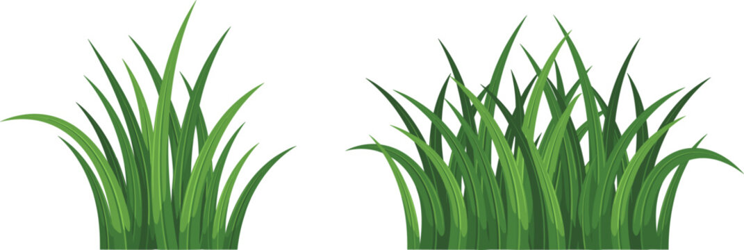 Green grass tufts vector illustration set, realistic fresh lawn shrubs isolated on a white background