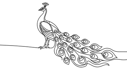 Elegant peacock line art illustration white background. © Tuya