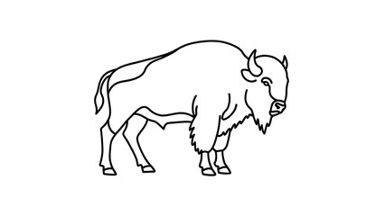 Obraz premium Bison line art illustration white background.