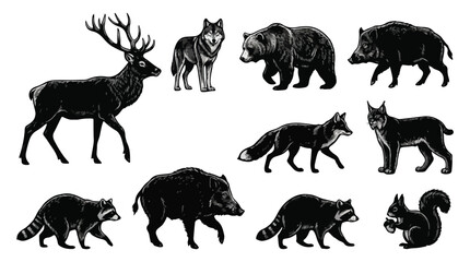 Obraz premium Collection of various wild forest animals in black silhouettes walking and standing
