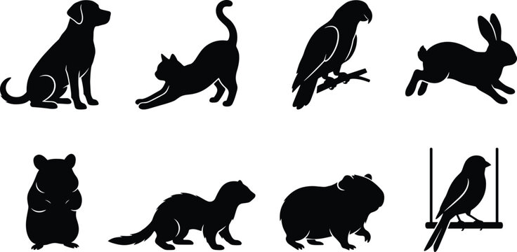 Domestic pets black silhouettes set featuring dog cat parrot rabbit hamster ferret guinea pig and canary isolated on white
