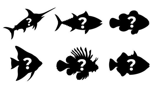 six fish silhouettes with question marks inside, isolated on white, symbolizing guessing game, species identification, or uncertainty