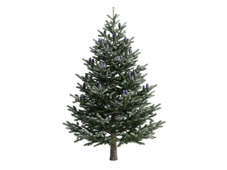 Fototapeta premium Beautiful green christmas tree illustration