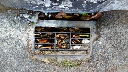 Metal storm drain covered with dry leaves and debris beside an asphalt road, illustrating urban drainage, maintenance, and environmental cleanliness. © Nom