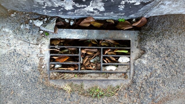 Metal storm drain covered with dry leaves and debris beside an asphalt road, illustrating urban drainage, maintenance, and environmental cleanliness.