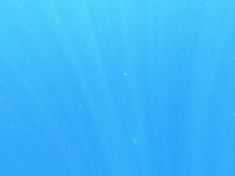 Speed or Vertical Jigging Metal Lure Dropping Into Deep Blue Pacific Ocean Water Near the Marianas Fishing for big game and pelagics. 