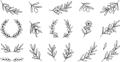 Obraz premium Minimalist Mediterranean olive twig sketch vector collection with elegant Greek wreaths