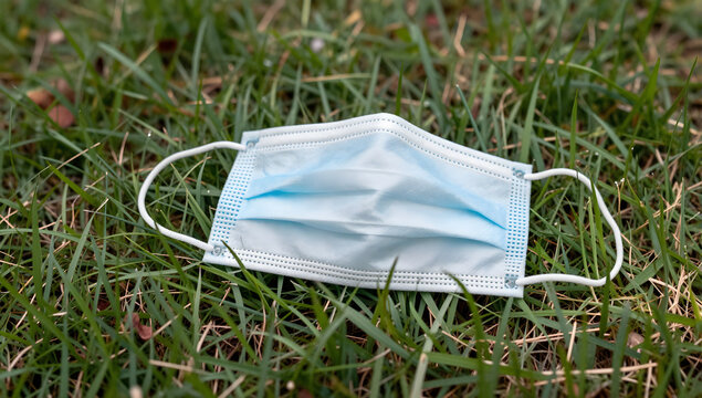 Discarded Face Mask on Grass: A solitary, disposable face mask lies abandoned on a bed of green grass, a stark symbol of the recent pandemic and its lingering impact on everyday life.