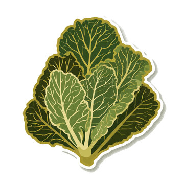 Flat illustration of a kale leaf on transparent background