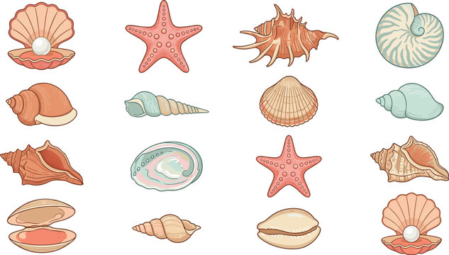 Marine ocean seashell vector illustration set featuring open clam with shiny pearl, pink starfish, nautilus, abalone, conch, and various tropical beach shells.
