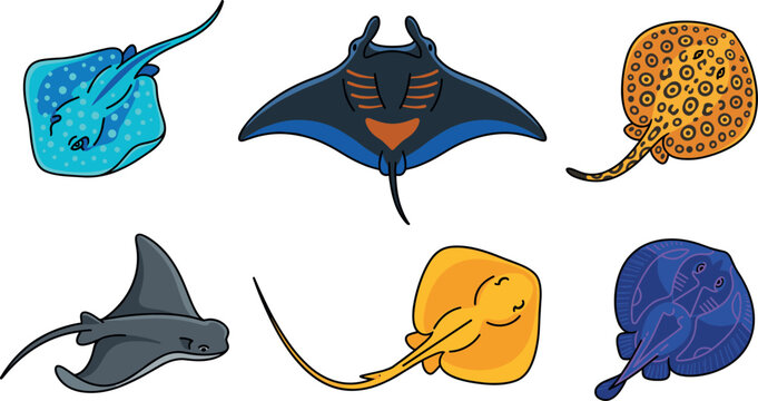 Stingray vector collection featuring manta ray eagle ray leopard ray cartoon elements isolated on transparent background