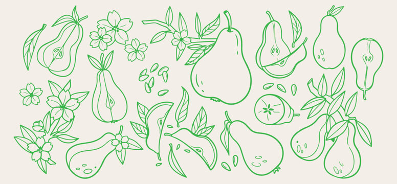 Fresh green pear fruit pattern, hand drawn garden plant wallpaper, organic agriculture orchard line drawing, green ink botanical food backdrop, vegetarian healthy diet vector design, raw summer harves