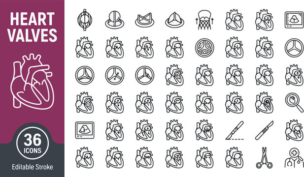 Heart valves line icon set. Mitral, aortic, tricuspid, pulmonary valve anatomy, cardiology surgery tools, mechanical prosthesis, ultrasound, stenosis, regurgitation, medical vector illustration.