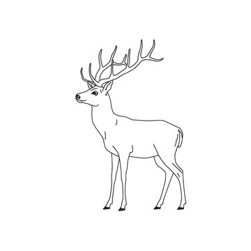 A large deer with impressive antlers stands proudly looking to the left with its head held high and eyes alert in a simple black line drawing style on a white background.