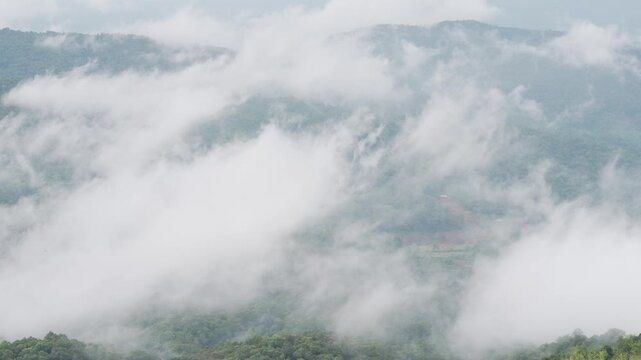 Thick mist hangs over the mountains; heading toward a wooded hill in the Catalan region, one can see fog drifting over the lush green forest during the rainy season.