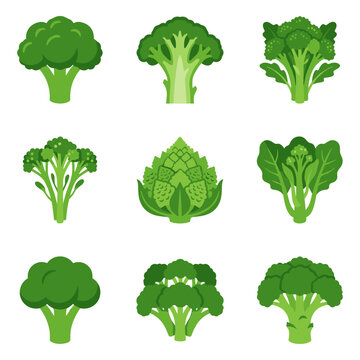 Collection of stylized broccoli and broccolini icons, whole floret, stem cross-section, and bunches, flat color design, healthy food symbols, dietary icons