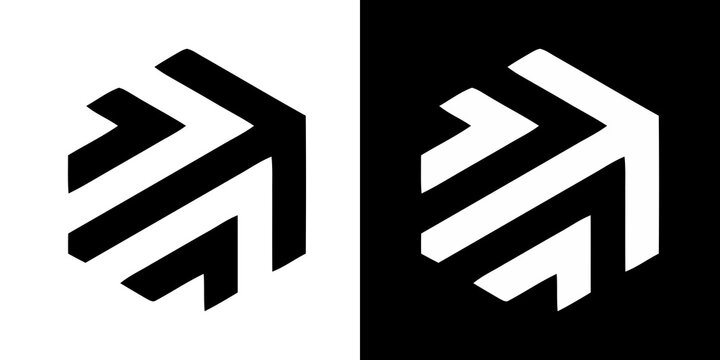 Abstract hexagonal geometric logo icons in black and white variations with geometric abstract monochrome minimalist identity branding structure direction contrast corporate business