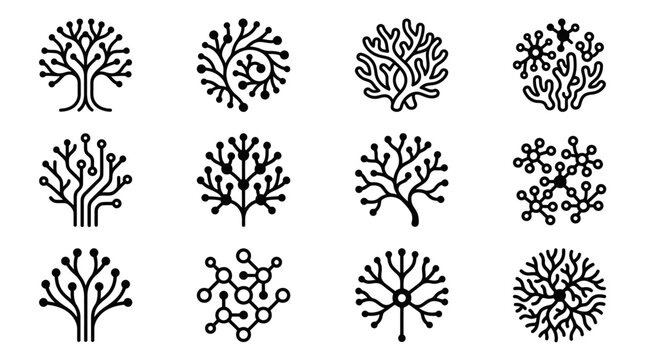 Black and white tree branch.