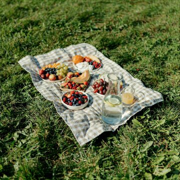 Overhead view of outdoor picnic on checkered blanket with summer fruits