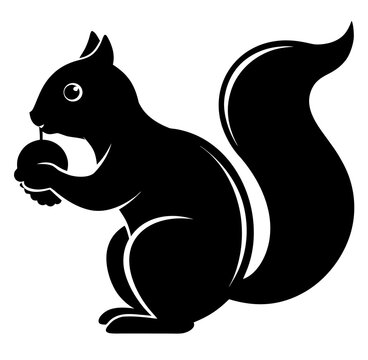 squirrel on white background