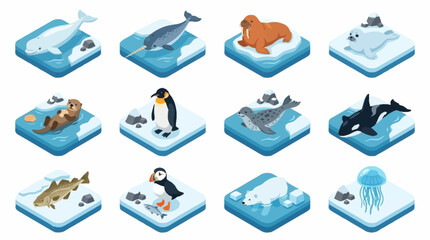 Collection of Arctic Animals on Ice Floes. © Lucas