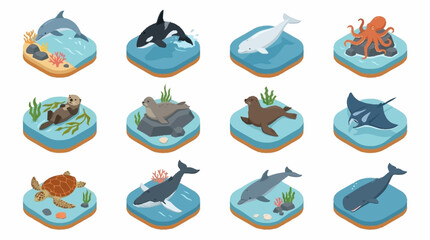 Colorful Isometric Ocean Animals Collection. © Lucas