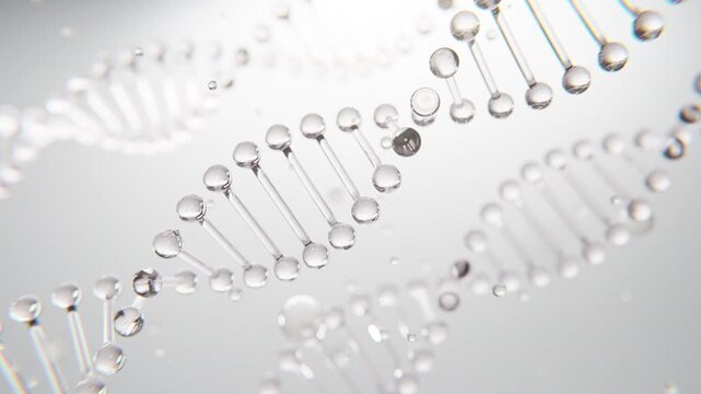 Elegant visualization of DNA molecular structure in a crystal clear style. Ideal for cosmetic innovation, skincare ads, genetic science, and luxury medical presentations.