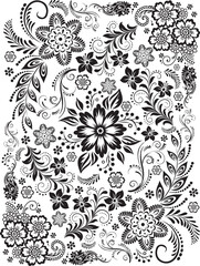 Fototapeta premium Adobe Illustrator Artwork Elegant Black and White Floral Ornament Vector Collection with Decorative Vintage Elements.