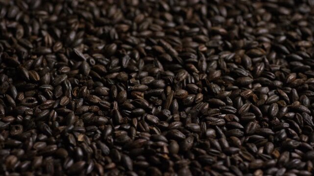 Roasted dark barley malt grains lying in a pile for beer brewing process in a professional craft brewery