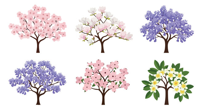 Blooming spring trees collection, set of 6 flowering garden tree vectors, cherry blossom and jacaranda botanical illustrations on white background