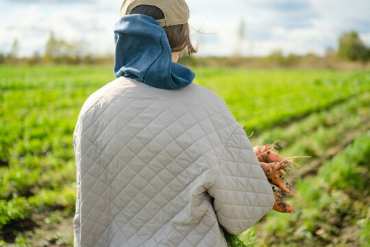 A girl stands holding carrots in a green field, viewed from behind. The farmer and young woman enjoys a serene, contemplative atmosphere with peaceful, calm organic produce in the countryside.