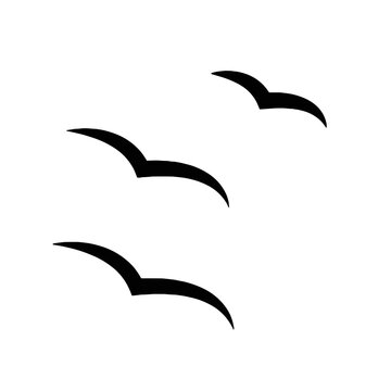 silhouette of flying birs