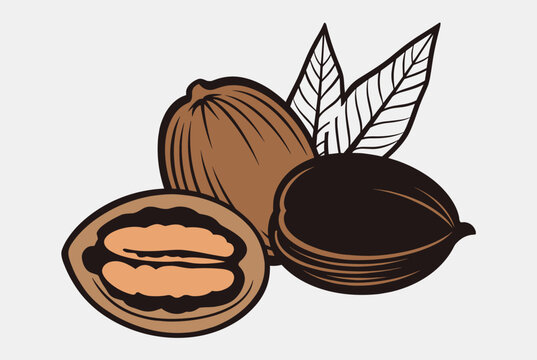 Detailed illustration of whole and halved pecan nuts with textured shells and green leaves on a light grey background.