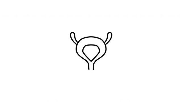 Minimalist outline animation of a human bladder organ part of urinary system drawing on and fading out. Features 3 color setups.