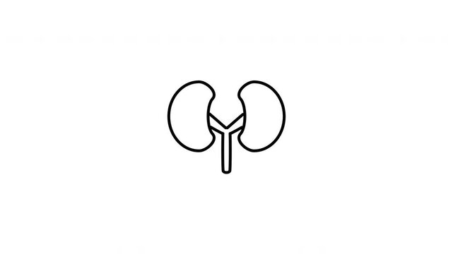 Minimalist outline animation of a pair of human kidney organs renal system drawing on and fading out. Features a clean pop up style in 3 color setups.