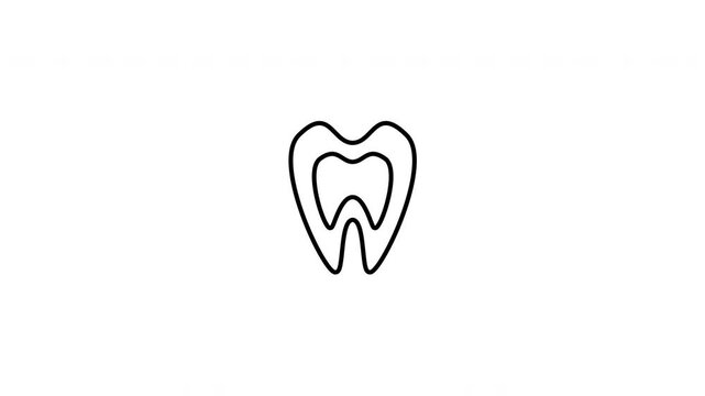 Minimalist outline animation of a human tooth cross section structure with root drawing on and fading out. Features a clean pop up style in 3 color setups.
