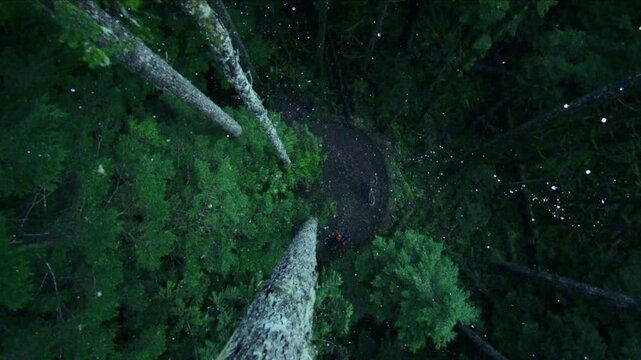 overhead dolly in shot of cyclists in vibrant green forest while raining, cinematic slow mo