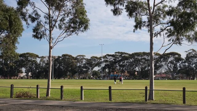 People chat and walk dogs on an open sports oval framed by gum trees in suburban Melbourne Australia. Concept of community recreation, local parks, and everyday outdoor life in Australian suburbs